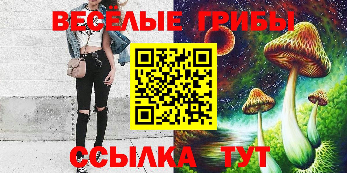Алушта  Галлюциногенные грибы мицелий  Вход с VPN 